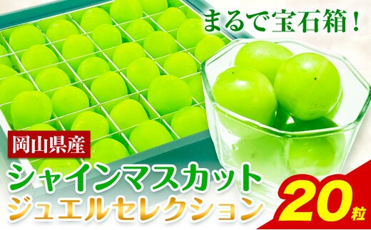 【2026年先行予約受付】シャインマスカット ジュエルセレクション 20粒 ぶどう 岡山県産《2026年9月上旬-10月末頃出荷(土日祝除く)》 ハレノフルーツ マスカット 送料無料 岡山県 浅口市 フルーツ 果物 贈り物 ギフト 国産 岡山県産【配送不可地域あり】（北海道・沖縄・離島）---124_c1939_9a10m_25_18000_20i---