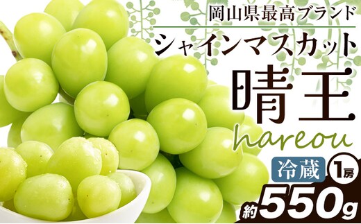 ぶどう【2026年発送先行予約】シャインマスカット 晴王 550g《2026年9月中旬-10月中旬頃より出荷予定(土日祝除く)》晴レ乃青果 (岡山中央卸売市場店(富士紙工 有限会社)) マスカット 送料無料 岡山県 浅口市 フルーツ 果物 贈り物 ギフト 国産 【配送不可地域あり】（北海道・沖縄・離島）---124_c2195_9b10b_25_19000_550---