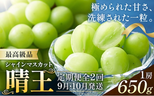 【2026年発送先行予約】シャインマスカット 晴王 2ヶ月 定期便 650g(1房)×2回お届け 最高級品 シャイン マスカット《2026年9月中旬-10月中旬頃出荷予定》 晴レ乃青果(岡山中央卸売市場店(富士紙工有限会社)) 送料無料 岡山県 果物 【配送不可地域あり】---124_c2242_9b10b_48000_sep2_tei---