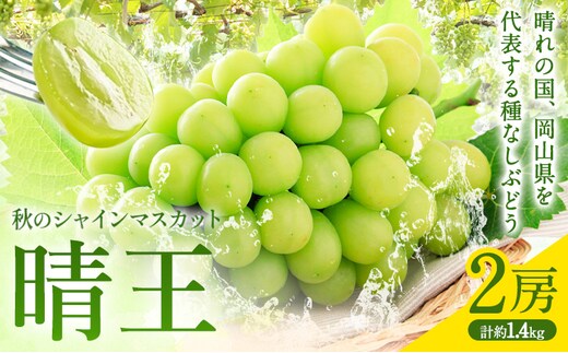 【2026年先行予約】秋のシャインマスカット 晴王 2房 環山堂株式会社《2026年9月上旬-10月上旬頃出荷》岡山県 浅口市 シャインマスカット マスカット ぶどう 果物 フルーツ 送料無料---124_c2270_9a10a_25_35000_30---