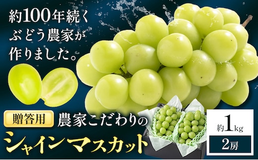【2026年先行予約】ぶどう シャインマスカット 贈答用 農家こだわりの シャインマスカット 約1kg 2房《2026年9月中旬-10月下旬頃出荷(土日祝除く)》Nini farm マスカット 送料無料 岡山県 浅口市 フルーツ 果物 贈り物 青果物---124_c2255_9b10c_25_16500_1kg---
