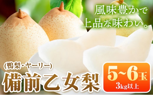 【先行予約】梨 なし 乙女梨 5~6玉 3kg 以上 石原果樹園 なし フルーツ 果物 新鮮《11月中旬-12月下旬頃より発送予定》岡山県 浅口市 果物 フルーツ 梨 鴨梨 備前乙女梨 ヤーリー---124_3190_11b12c_25_27000_3kg---