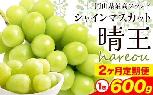 【2026年先行予約】シャインマスカット 晴王 岡山県産 定期便 2ヶ月 9月・10月発送《2026年9月中旬-10月中旬頃出荷》1房 600g 晴レ乃青果 (岡山中央卸売市場店(富士紙工 有限会社)) 岡山県 浅口市 【配送不可地域あり】---124_c2202_9b10b_38000_sep2_tei---