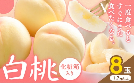 【2026年先行予約】白桃 8玉(1.7kg以上) 株式会社山博 (中本青果)《2026年7月上旬-8月上旬頃出荷》岡山県 浅口市 桃 もも フルーツ 旬 果物 国産 岡山県産 送料無料 冷蔵 化粧箱 【配送不可地域あり】（北海道・沖縄・離島）---124_c1849_7a8a_25_27500_8p---