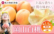 【2026年先行予約】桃 もも 岡山白桃 5～7玉 約1.5kg 夢白桃もしくは白麗 岡山県産 環山堂株式会社《2026年7月下旬-8月上旬頃出荷》岡山県 浅口市 白桃 果物 フルーツ 送料無料【配送不可地域あり】（北海道・沖縄・離島）---124_c2264_7c8a_25_19500_30---