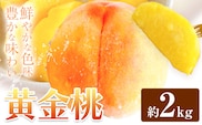 黄金桃 約2kg 花田青果株式会社《8月下旬-9月上旬頃出荷》岡山県 浅口市 黄桃 桃 もも 旬 フルーツ 果物 【配送不可地域あり】（離島） ---124_c2530_8c9a_25_13500_2kg---
