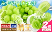 【2026年先行予約受付】ぶどう シャインマスカット 晴王 岡山県産 2房 約1.1kg《9月上旬-10月末頃出荷》 ハレノフルーツ マスカット 送料無料 岡山県 浅口市 フルーツ 果物 贈り物 ギフト 国産 岡山県産 くだもの 青果物 【配送不可地域あり】（北海道・沖縄・離島）---124_c1950_9a10m_25_28000_1100g---