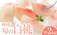 桃 岡山県の旬の白桃 約2kg 花田青果株式会社《6月下旬-8月下旬頃出荷予定(土日祝除く)》岡山県 浅口市 白桃 桃 もも 旬 フルーツ 果物【配送不可地域あり】 ---124_c2527_6c8c_25_13500_2kg---