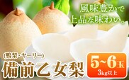 【先行予約】梨 なし 乙女梨 5~6玉 3kg 以上 石原果樹園 なし フルーツ 果物 新鮮《11月中旬-12月下旬頃より発送予定》岡山県 浅口市 果物 フルーツ 梨 鴨梨 備前乙女梨 ヤーリー---124_3190_11b12c_25_27000_3kg---