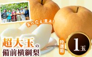 【先行予約】梨 横綱梨 超大玉 1玉(1～1.5㎏) 特選箱 石原果樹園 《11月中旬-12月下旬頃より発送予定》岡山県 浅口市 フルーツ 果物 ギフト 贈り物 国産 岡山県産 送料無料---124_3186_11b12c_25_16000_1tm---