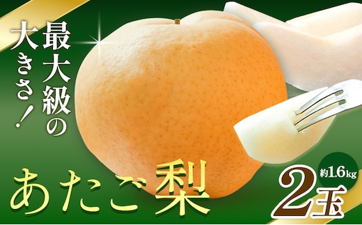 【先行予約】梨 あたご梨 2玉 約1.6kg 株式会社藍《2026年11月中旬-12月上旬頃出荷》 岡山県 浅口市 岡山県産 なし フルーツ 果物 くだもの ナシ 大玉 送料無料---124_3240_11b12a_25_16500_2---