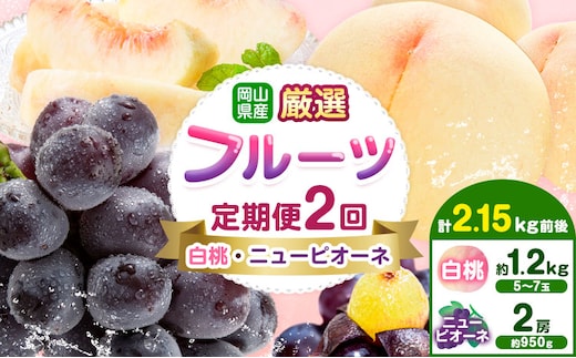 【先行予約】岡山県産 厳選 フルーツ 定期便 2回 白桃 ニューピオーネ 計2.15kg前後 株式会社藍《2026年7月上旬-9月末頃出荷》 岡山県 浅口市 岡山県産 白桃 桃 ニューピオーネ 種無し 旬 フルーツ 果物 くだもの 送料無料 【配送不可地域あり】---124_c1990_7a9m_25_27500_jul2_tei---
