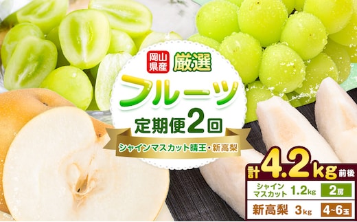 岡山県産 厳選 フルーツ 定期便 2回 シャインマスカット 晴王 新高梨 計4.2kg前後 株式会社藍《9月上旬-10月下旬頃出荷》 岡山県 浅口市 岡山県産 シャインマスカット 新高梨 梨 旬 フルーツ 果物 くだもの 送料無料 【配送不可地域あり】（北海道・沖縄・離島）---124_c3395tei_9a10c_25_34000_sep2---