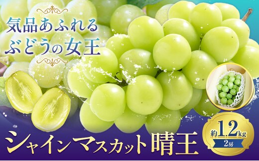 ぶどうシャインマスカット 約 1.2kg 2房 【配送不可地域あり】 株式会社藍《9月上旬-10月下旬頃出荷》 岡山県 浅口市 岡山県産 ぶどう フルーツ 果物 くだもの マスカット 送料無料---124_c3398_9a10c_25_21000_1200g---