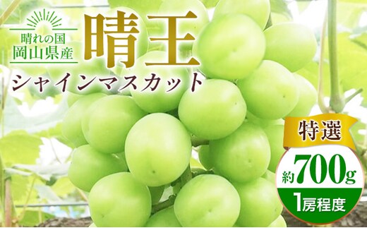 ぶどう シャインマスカット晴王 約700g【特選】 橋田商店有限会社《9月中旬-11月中旬頃出荷》 岡山県 浅口市 岡山県産 ぶどう フルーツ 果物 くだもの マスカット 送料無料【配送不可地域あり】(北海道・沖縄・離島)---124_c3759_9b11b_25_21500_700g---
