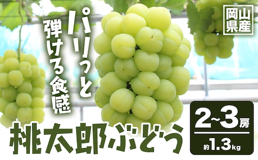 【2026年発送先行予約】岡山県産 桃太郎ぶどう 約1.3kg 2-3房《2026年9月上旬‐9月下旬頃出荷》晴れの国 おかやま館(フルーツランド岡山) 岡山県 浅口市 フルーツ 果物 青果 旬 葡萄 ぶどう【配送不可地域あり】（離島）---124_c2180_9a9c_25_24000_1300g---