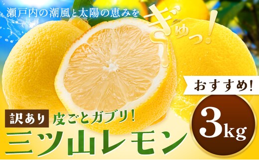 《先行予約》 訳あり 三ツ山レモン 3kg 三ツ山レモンファーム《12月下旬-3月中旬頃出荷》岡山県 浅口市 送料無料 れもん 檸檬 わけあり ワケあり お取り寄せ---124_3034_9c3b_25_6500_3kg---