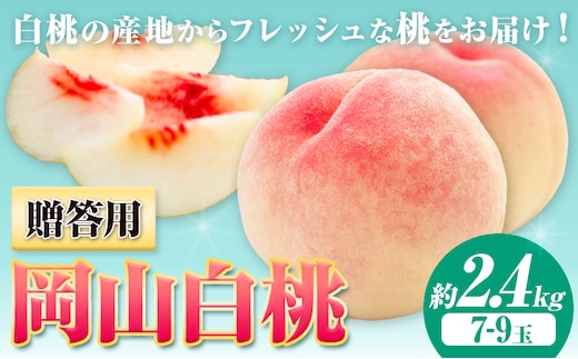 【2026年先行予約】贈答用 桃 内容量 2.4kg ハレノフルーツ （犬塚農園） 《2026年6月末-8月中旬頃出荷》岡山県 浅口市 フルーツ モモ 果物 青果 旬 おかやま夢白桃 白麗 白鳳 清水白桃 なつごころ 加納岩白桃【配送不可地域あり】（北海道・沖縄・離島）---124_c1796_6m8b_26_39000_2400g---