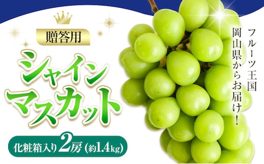 贈答用 フルーツ王国 岡山県産 シャインマスカット 化粧箱入り 2房 Lino ＆ Kai Farm《2026年10月上旬-11月中旬頃出荷》マスカット 送料無料 岡山県 浅口市 ギフト シャインマスカット 岡山 ぶどう フルーツ 果物---124_c3918_10a11b_25_23500_z2---