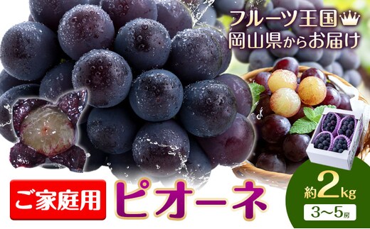 【2026年先行予約】ぶどう ご家庭用 ピオーネ 約2kg (3~5房) もりおか農園《2026年9月上旬-10月上旬頃出荷》岡山県 浅口市 送料無料 ぶどう フルーツ 果物 くだもの デザート おやつ【配送不可地域あり】---124_c2117_9a10a_25_16000_2kg---