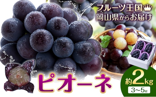【2026年先行予約】ぶどう ピオーネ 約2kg (3~5房) もりおか農園《2026年9月上旬-10月上旬頃出荷》岡山県 浅口市 送料無料 ぶどう フルーツ 果物 くだもの デザート おやつ【配送不可地域あり】---124_c2116_9a10a_25_18000_2kg---