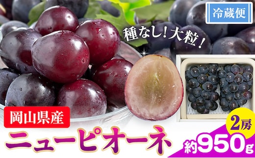 ぶどう ニューピオーネ 2房 約950g【配送不可地域あり】（北海道・沖縄・離島） 株式会社藍《9月中旬-10月下旬頃出荷》岡山県 浅口市 岡山県産 ぶどう フルーツ 果物 くだもの ピオーネ 送料無料---124_c3253_9b10c_25_15000_2---