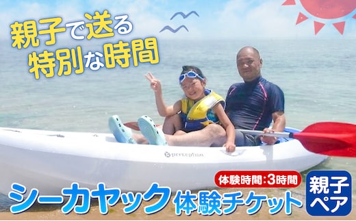 シーカヤックチケット 親子ペア 体験時間 3時間 NPO法人あさくちスポーツクラブ遊ぶところ《90日以内に出荷予定(土日祝除く)》岡山県 浅口市 シーカヤック カヤック 体験 親子 ペア チケット 海---124_75_90d_23_16000_f3---