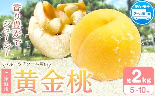 【2026年先行予約】桃 黄金桃 ご家庭用 選べる内容量 2kg (5～8玉) フルーツファーム岡山《2026年8月中旬-8月末頃出荷》岡山県 浅口市 送料無料 フルーツ モモ 果物 青果 旬 国産 岡山県産【配送不可地域あり】（北海道・沖縄・離島）---124_c1903_8b8m_25_14000_2kg---