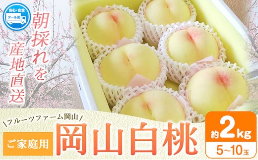 【2026年先行予約】桃 旬 岡山白桃 旬の桃 ご家庭用 2kg (5～10玉) フルーツファーム岡山《2026年6月下旬-8月下旬頃出荷》岡山県 浅口市 送料無料 フルーツ モモ 果物 青果 旬 国産 岡山県産【配送不可地域あり】（離島）---124_c1901_6c8c_25_16000_2kg---