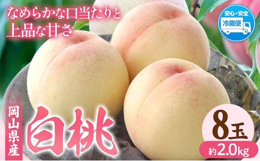 【2026年発送先行予約】岡山県産 白桃 内容量 8玉（約2.0kg） クール便 晴れの国 おかやま館(フルーツランド岡山) 《2026年7月中旬-7月下旬頃発送予定》岡山県 浅口市 白桃 桃【配送不可地域あり】（離島）---124_c2178_7b7c_25_31000_8p---