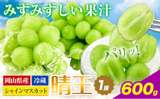 【2026年先行予約】ぶどう シャインマスカット 晴王 1房 600g 岡山県産《2026年9月上旬-10月末頃出荷(土日祝除く)》 ハレノフルーツ マスカット 送料無料 岡山県 浅口市 フルーツ 果物 贈り物 ギフト 国産 岡山県産 くだもの 青果物 【配送不可地域あり】（北海道・沖縄・離島）---124_c1941_9a10m_25_18000_600g---