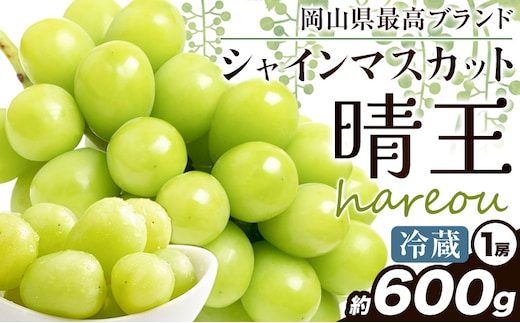 ぶどう【2026年発送先行予約】シャインマスカット 晴王 600g《2026年9月中旬-10月中旬頃より出荷予定(土日祝除く)》晴レ乃青果 (岡山中央卸売市場店(富士紙工 有限会社))マスカット 送料無料 岡山県 浅口市 フルーツ 果物 贈り物 ギフト 国産 【配送不可地域あり】（北海道・沖縄・離島）---124_c2196_9b10b_25_19500_600---