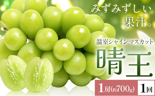 【2026年発送先行予約】シャインマスカット 温室 晴王 1房(約700g) 1回お届け シャイン マスカット《2026年7月中旬-8月中旬頃出荷》晴レ乃青果 (岡山中央卸売市場店(富士紙工 有限会社)) 送料無料 岡山県 浅口市 フルーツ 果物 岡山県産【配送不可地域あり】---124_c2220_7b8b_28000_700---