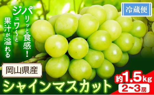 シャインマスカット 1.5kg(2-3房)【配送不可地域あり】 花田青果株式会社《9月上旬-10月末頃出荷》マスカット 送料無料 岡山県 浅口市 シャインマスカット ぶどう フルーツ 果物 贈り物 ギフト---124_c2536_9a10m_25_14000_15k---