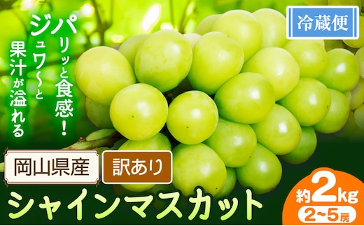 訳あり シャインマスカット 約2kg 2～5房 【配送不可地域あり】 花田青果株式会社《2026年9月上旬-10月末頃出荷》---124_c2534_9a10m_25_14000_2kg---
