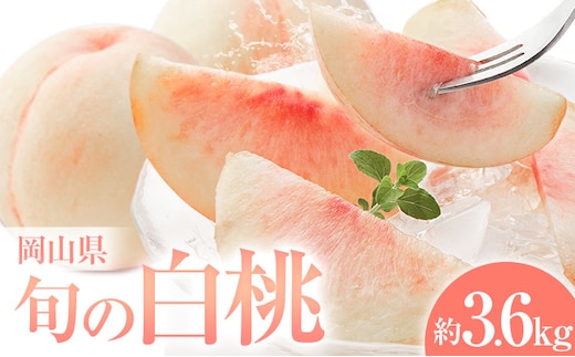 桃 岡山県の旬の白桃 約3.6kg 花田青果株式会社《6月下旬-8月下旬頃出荷予定(土日祝除く)》岡山県 浅口市 白桃 桃 もも 旬 フルーツ 果物【配送不可地域あり】 ---124_c2528_6c8c_25_21000_36k---