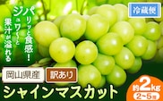 訳あり シャインマスカット 約2kg 2～5房 【配送不可地域あり】 花田青果株式会社《2026年9月上旬-10月末頃出荷》---124_c2534_9a10m_25_14000_2kg---