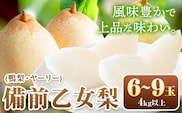【先行予約】梨 なし 乙女梨 6~9玉 4kg 以上 石原果樹園　フルーツ 果物 新鮮 《11月中旬-12月下旬頃より発送予定》岡山県 浅口市 果物 フルーツ 梨 鴨梨 備前乙女梨 ヤーリー---124_3191_11b12c_25_35000_4kg---