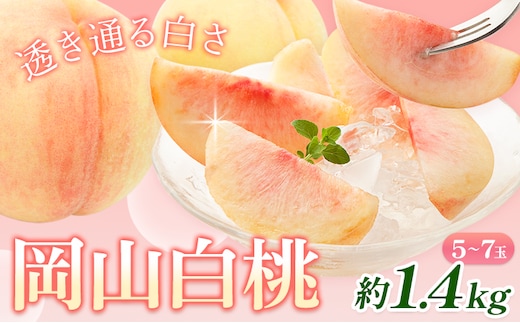 【2026年先行予約】桃 岡山白桃 約1.4kg 5-7玉 株式会社藍《2026年7月中旬-7月末頃より発送予定》 岡山県 浅口市 岡山県産 もも フルーツ 果物 くだもの 白桃 送料無料---124_c1985_7b7m_25_17000_1400g---