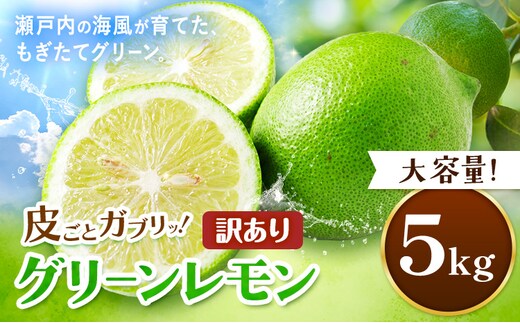 【先行予約】皮ごとガブリ！ 三ツ山 グリーン レモン 訳あり 5kg 三ツ山レモンファーム《9月下旬-3月中旬頃出荷》岡山県 浅口市 れもん 檸檬 防腐剤不使用 ワックス不使用 送料無料---124_3891_9c3b_25_13000_5kg---