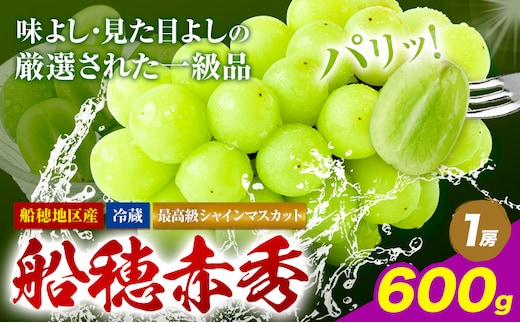 【2026年先行予約受付】最高級 シャインマスカット ぶどう 船穂赤秀 1房 600g 岡山県産《2026年9月上旬-10月末頃出荷(土日祝除く)》 ハレノフルーツ マスカット 送料無料 岡山県 浅口市 フルーツ 果物 贈り物 ギフト 国産 岡山県産【配送不可地域あり】（北海道・沖縄・離島）---124_c1962_9a10m_25_22000_600g---