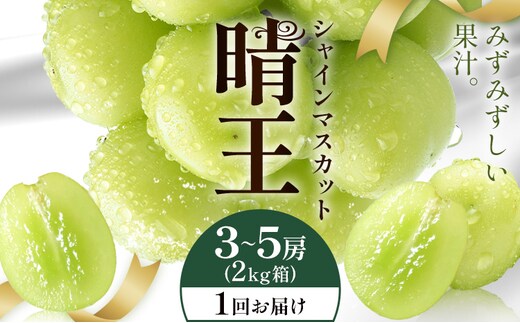 【2026年発送先行予約】シャインマスカット 晴王 1回お届け 3-5房(2kg箱) シャイン マスカット《2026年9月中旬-10月中旬頃出荷予定》 晴レ乃青果(岡山中央卸売市場店(富士紙工有限会社)) 送料無料 岡山県 浅口市 フルーツ 果物 岡山県産【配送不可地域あり】---124_c2239_9b10b_67000_2kg---