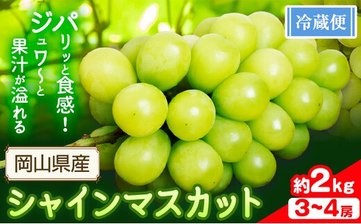 シャインマスカット 約2kg (3-4房)【配送不可地域あり】（北海道・沖縄・離島） 花田青果株式会社《9月上旬-10月末頃出荷》マスカット 送料無料 岡山県 浅口市 シャインマスカット ぶどう フルーツ 果物 贈り物 ギフト---124_c2537_9a10m_25_20500_2kg---
