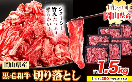 牛肉 黒毛和牛 切り落とし 1.5kg《30日以内に出荷予定(土日祝除く)》 岡山県 浅口市 牛 牛肉 和牛 牛丼 カレー 小分け 小分けパック 250g 送料無料 ---124_f1498_30d_23_17000_15---
