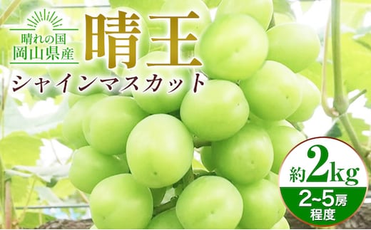 ぶどう シャインマスカット晴王 約2kg 橋田商店有限会社《9月中旬-11月中旬頃出荷》 岡山県 浅口市 岡山県産 ぶどう フルーツ 果物 くだもの マスカット 送料無料【配送不可地域あり】(北海道・沖縄・離島)---124_c3760_9b11b_25_34000_2kg---