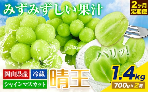 【2026年先行予約】ぶどう 2ヶ月 定期便 シャインマスカット 晴王 1.4kg（2房） 岡山県産《7月上旬-8月末頃出荷》 ハレノフルーツ マスカット 送料無料 岡山県 浅口市 フルーツ 果物 国産 岡山県産【配送不可地域あり】（北海道・沖縄・離島）---124_c1930_25_88500_jul2_tei---