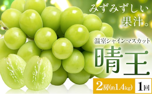 【2026年発送先行予約】シャインマスカット 温室 晴王 2房(合計約1.4kg) 1回お届け シャイン マスカット《2026年7月中旬-8月中旬頃出荷》晴レ乃青果 (岡山中央卸売市場店(富士紙工 有限会社)) 送料無料 岡山県 浅口市 フルーツ 果物 岡山県産【配送不可地域あり】---124_c2222_7b8b_53000_1400---