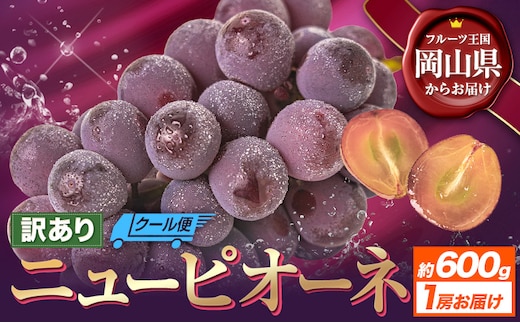 【先行予約】訳あり ニューピオーネ 約600g 1房 ブドウ 葡萄 果物 秋旬 訳あり 優品 厳選出荷 フルーツ デザート 岡山県 浅口市《8月下旬‐10月中旬頃出荷》ニューピオーネ---124_c3274_8c10b_25_8000_1p---