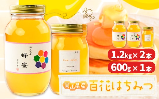 はちみつ 蜂蜜 百花 600g 1本 1.2kg 2本 計 3 本 かもがた養蜂 《30日以内に出荷予定(土日祝除く)》 岡山県 浅口市 送料無料 ハチミツ 百花蜜 百花はちみつ 岡山県産---124_362_30d_23_35500_3---