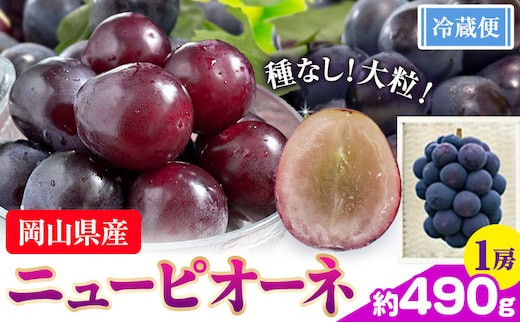 ぶどう ニューピオーネ 約 490g 1房 株式会社藍《9月中旬-10月下旬頃出荷》 岡山県 浅口市 岡山県産 ぶどう フルーツ 果物 くだもの ピオーネ 送料無料 【配送不可地域あり】---124_c3252_9b10c_25_10000_1---
